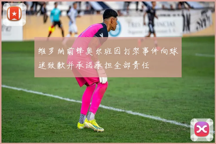 维罗纳前锋奥尔班因打架事件向球迷致歉并承诺承担全部责任